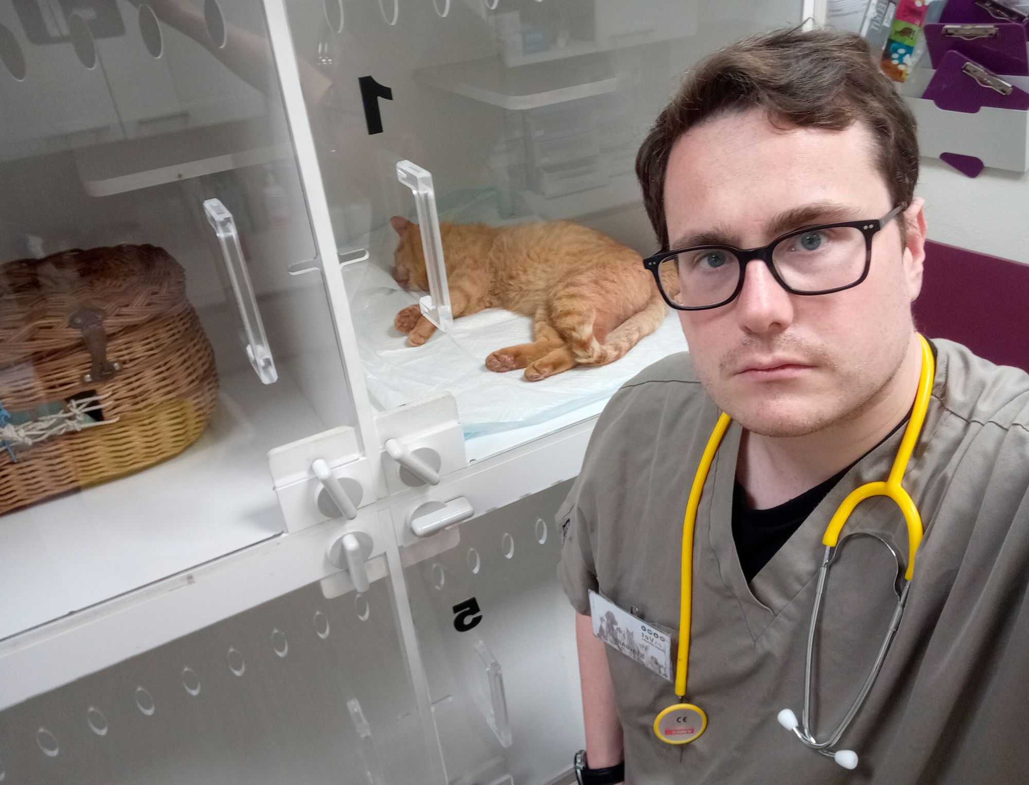 Héctor Rodríguez with penguins