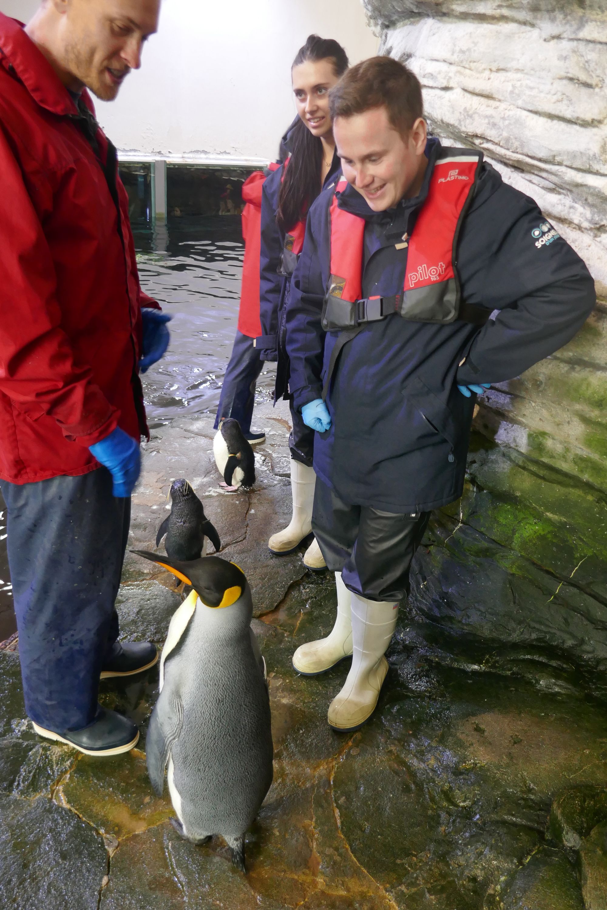 Background landscape